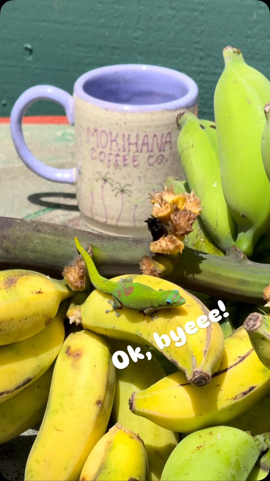We just dropped off a fresh batch of mugs at @mokihanacoffeekauai ☕️💕 Every batch is limi